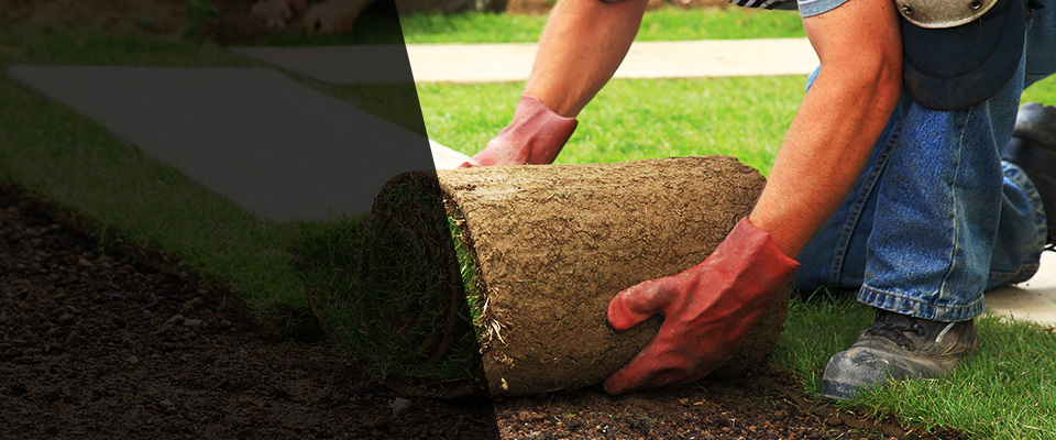 Watervliet Landscapers